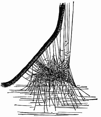 Fig. 144.—"The Criss-Cross and Knotted Net of the Lineweavers."