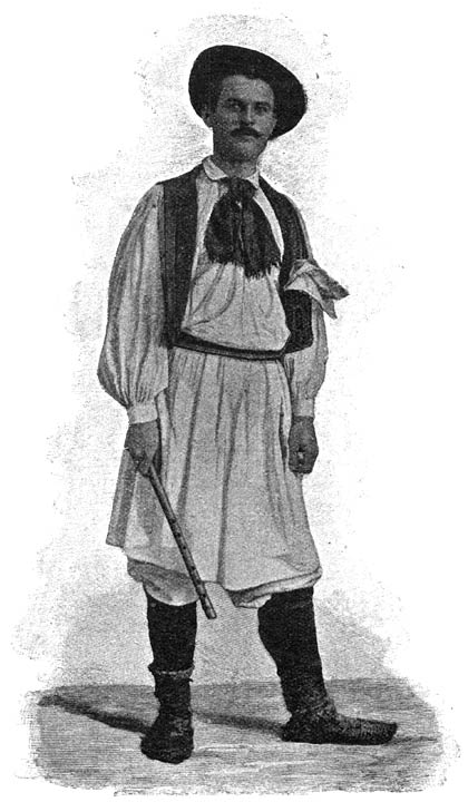 Type van een Servi&euml;r.