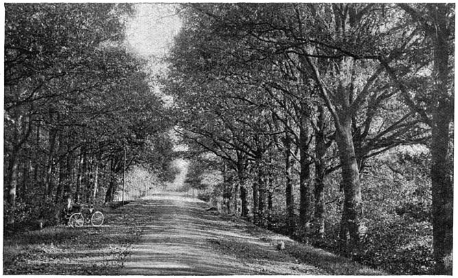 Bentheimerweg&mdash;Lutte bij Oldenzaal.