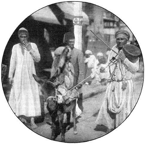 Straatmuzikant in Alexandri&euml;.