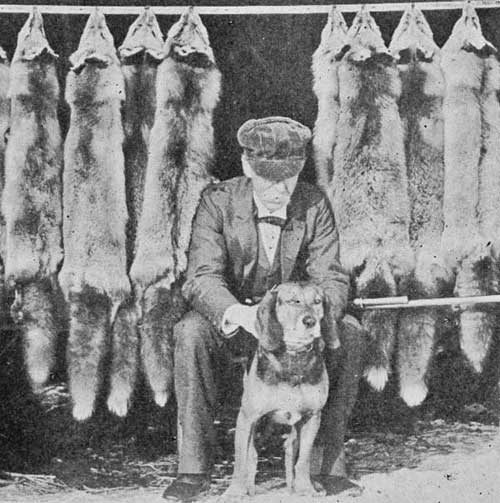 VERMONT HUNTER AND FOX SKINS.