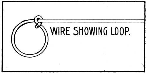 THE WIRE LOOP.