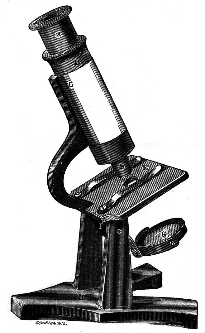 Fig. 60.--Household microscope.