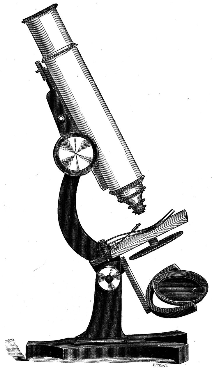 Fig. 61.--Popular microscope.
