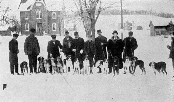 Descendants From Jamestown Imported Hounds.