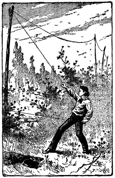 I "YANKED," OR BY A DEXTEROUS "TWIST OF THE WRIST,"
I WAS ABLE TO BREAK THE WIRE.