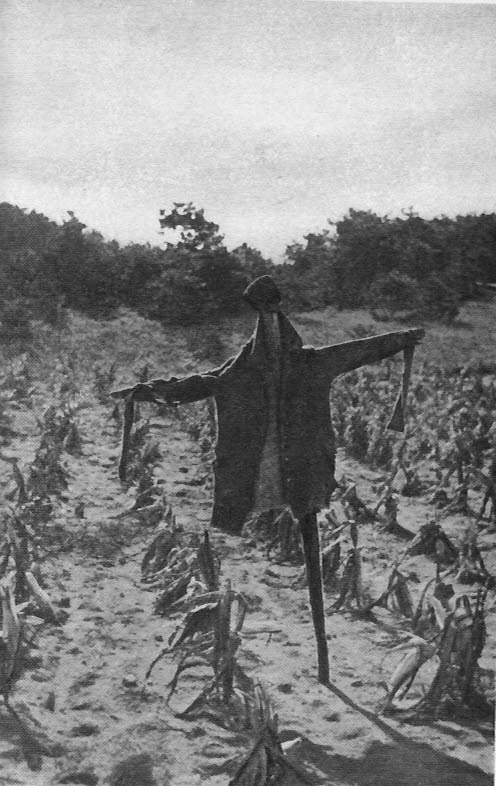 A scarecrow