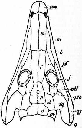 Page:The Anglo-Saxon Chronicle (Giles).djvu/226 - Wikisource, the free  online library