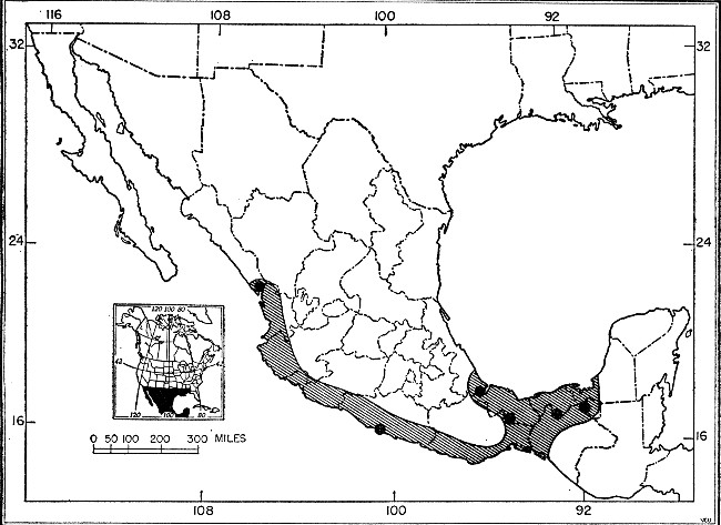 Fig. 1. Map showing localities from which Myotis
fortidens has been recorded.