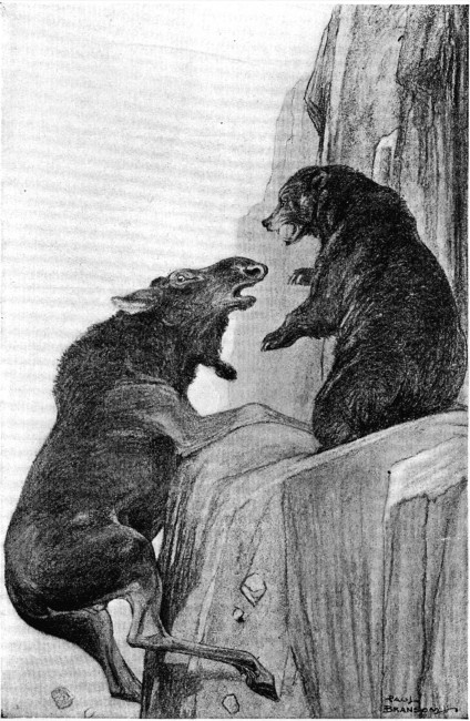 He struggled frantically to drag himself up again upon
the ledge.