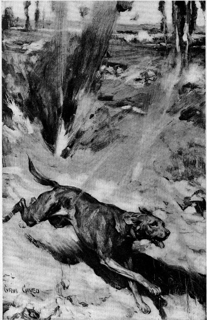 He only knew his lines were close ahead, and he must
reach them.