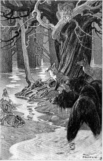 "This ain't no menagerie we've got here, Tom. It's a
Noah's Ark, that's what it be!"