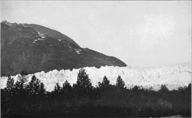 Copyright by E. A. Hegg, Juneau

Courtesy of Webster & Stevens, Seattle

Distant View of Davidson Glacier