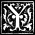 ORNAMENTAL CAPITAL 'Y' ORNAMENTAL CAPITAL 'Y'