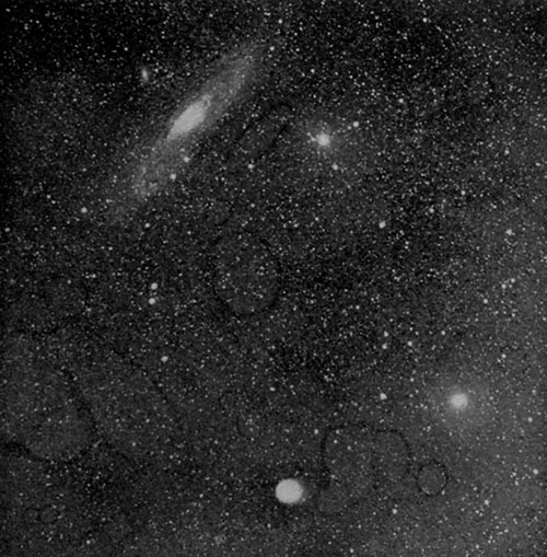 Fig. 138.—The Andromeda nebula and Holmes's comet.
Photographed by Barnard.