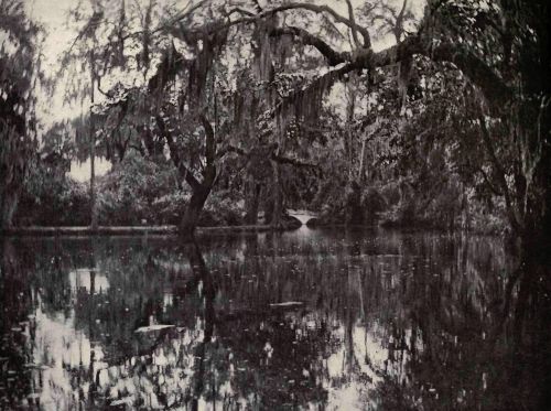 PLATE 113 "Magnolia Garden," Charleston, S. C. Colonel Drayton Hastie
