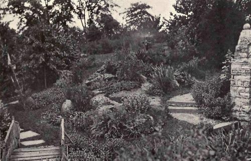 PLATE 129 The rock garden, "Englishton Park," Lexington, Ind. Mrs. W. E. English