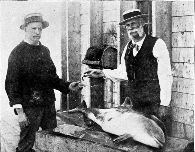 Fig. 1.—Buying a Porpoise from a Fisherman.
