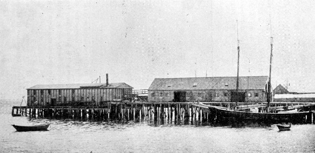 Fig. 4.—D. C. Stull's Watch Oil Factory, Provincetown,
Mass.