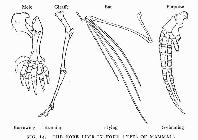 FIG. 14.