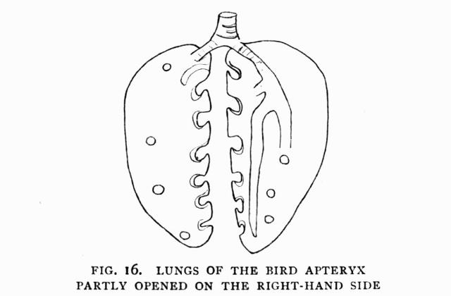 FIG. 16.