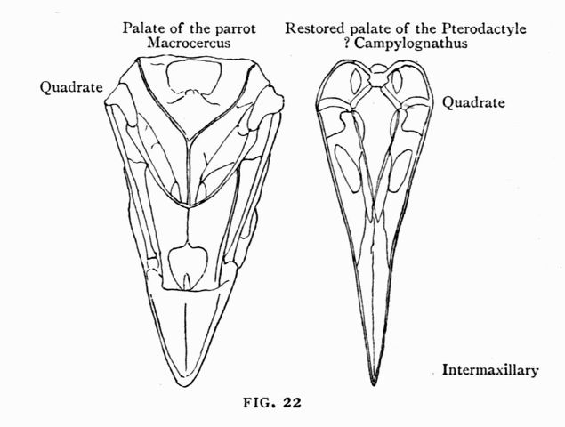 FIG. 22