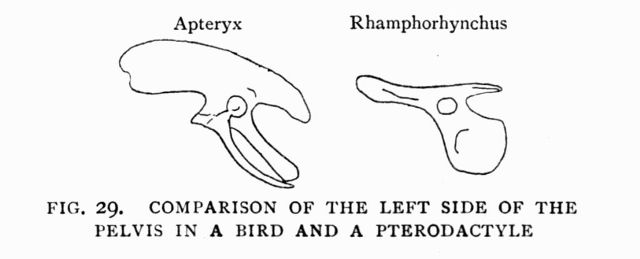 FIG. 29.