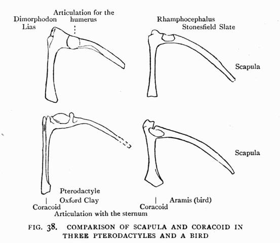 FIG. 38.