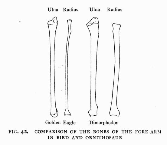 FIG. 42.