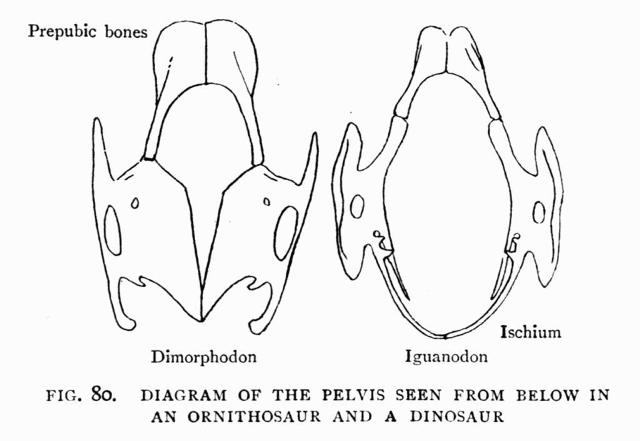 FIG. 80.