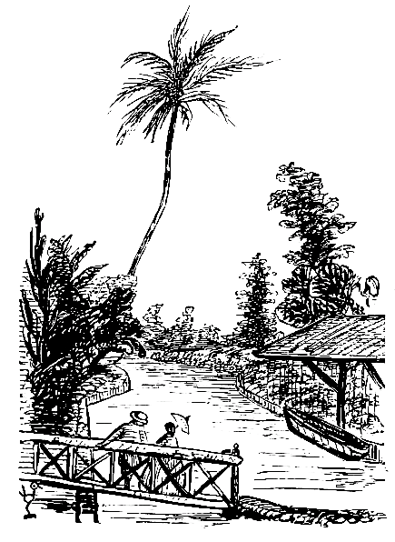 View of the Canal and Cocoa Tree; looking East from the
Grotto.