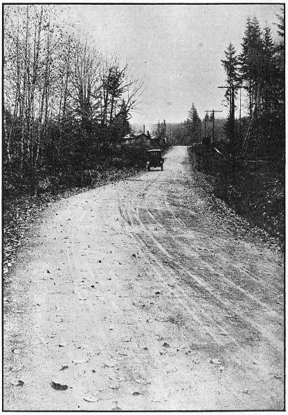 BITUMINOUS PAVING
NEAR SVENSON IN CLATSOP COUNTY ON THE COLUMBIA RIVER HIGHWAY. PAVED IN 1917