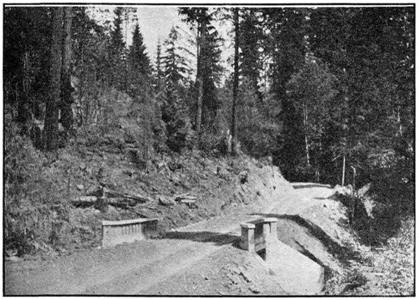 BRIDGE ON
PASS CREEK—20 FT. SPAN. ON PACIFIC HIGHWAY NEAR COMSTOCK IN DOUGLAS COUNTY