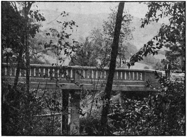 VAN TYNE CREEK VIADUCT
NORTH OF MYRTLE CREEK IN DOUGLAS COUNTY. BUILT IN 1918