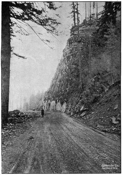 ON THE COLUMBIA
RIVER HIGHWAY IN HOOD RIVER COUNTY TWO MILES EAST OF CASCADE LOCKS. GRADED AND GRAVELED IN 1917 AND 1918