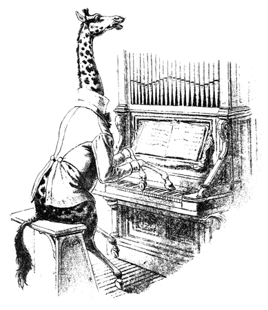 A giraffe playing the piano.