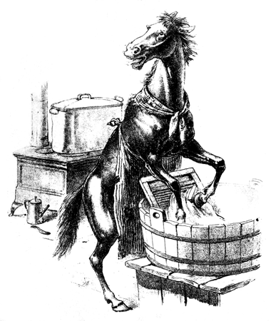 A horse with a washing board.