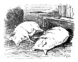 Two sleeping pigs.