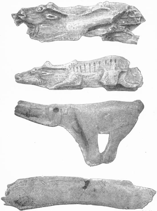 BONE CARVINGS OF THE PALÆOLITHIC PERIOD