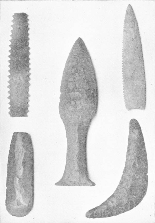 NEOLITHIC FLINT IMPLEMENTS