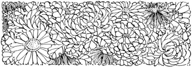 Chapter 6 Head-Band: The chrysanthemum pattern.