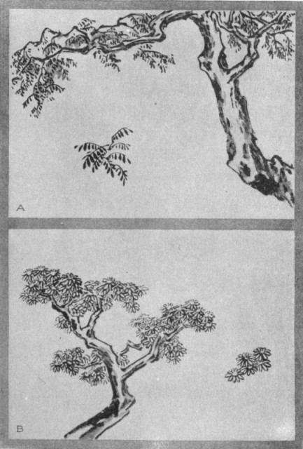 Wistaria Dot (a). Chrysanthemum Dot (b). Plate XXXII.