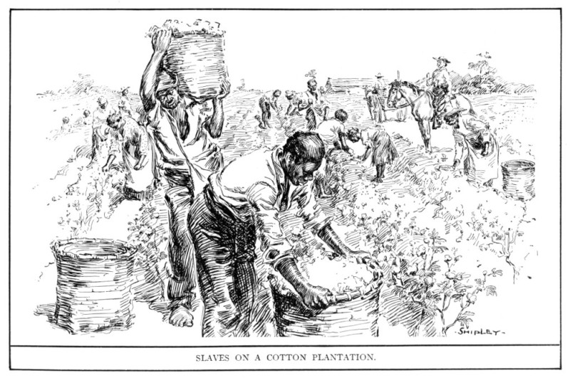 SLAVES ON A COTTON PLANTATION.