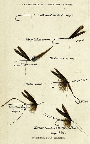 AN EASY METHOD TO MAKE THE TROUT-FLY.