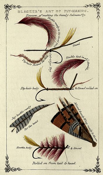 Process of making the Gaudy Salmon-fly