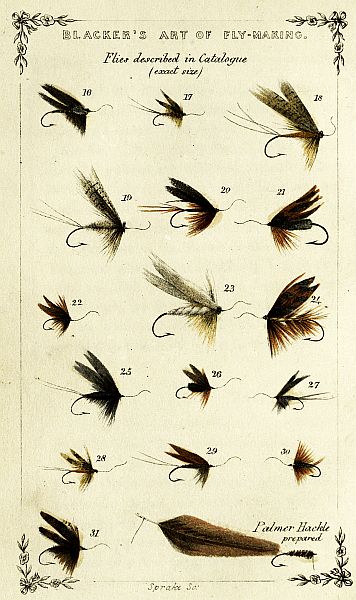 Plate of 16 Flies