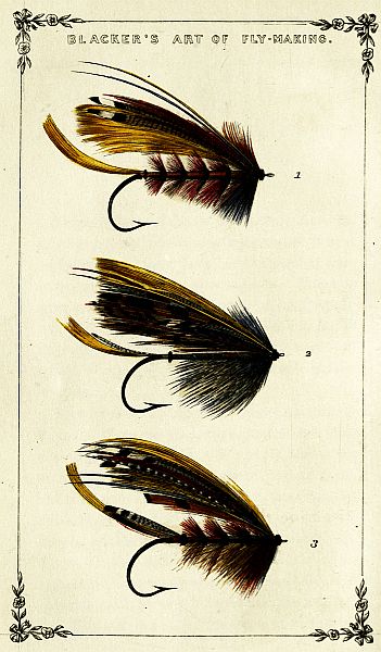 Plate of Gaudy Flies, Nos. 1, 2, 3