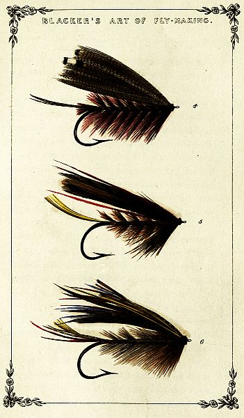 Plate of three Salmon-flies, Nos. 4, 5, 6
