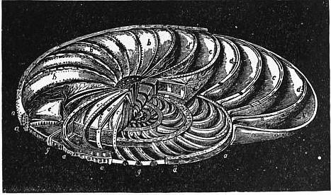 The Project Gutenberg eBook of Encyclopædia Britannica, Volume X Slice VI -  Foraminifera to Fox, Edward.