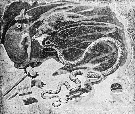 "THEN RIKKI-TIKKI WAS BATTERED TO AND FRO AS A RAT
IS SHAKEN BY A DOG."